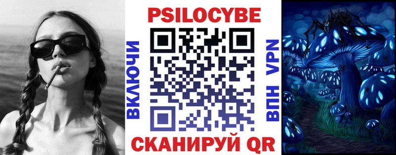 Псилоцибиновые грибы мицелий  Купить  Шацк 